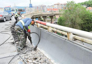 桐城雙新開發區伊洛大道